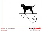 viii-298-lagotto-romagnolo-kwietnik.jpg